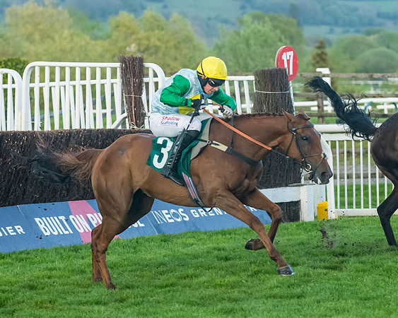 Race 5 - Mares Open  (153 of 329)