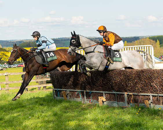 Race 7 - Maiden  (70 of 113)