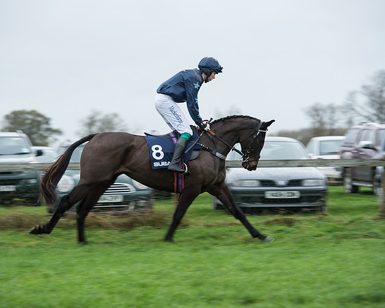 Race 4 - Restricted (8 of 58).jpg
