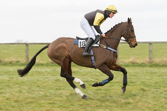 Race 2 - PPORA Novice riders  (26 of 186).jpg