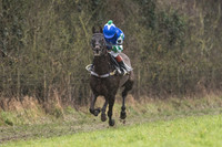 Pony Race 1 -  (8 of 20).jpg