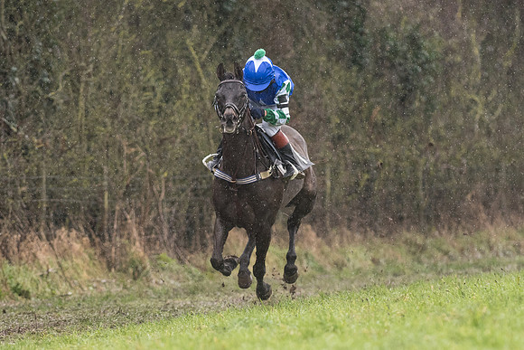 Pony Race 1 -  (8 of 20).jpg