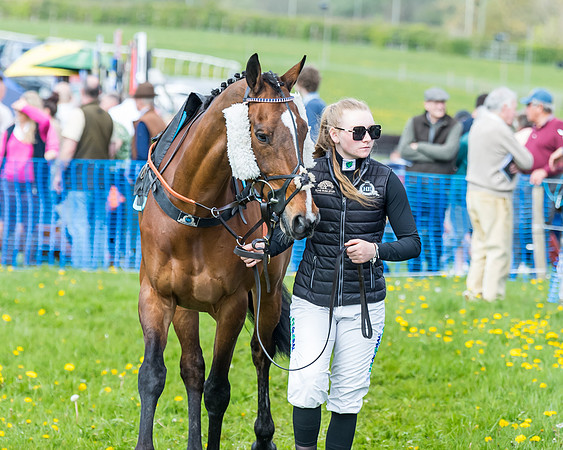 Race 2 - Veteran Horse  (2 of 82)