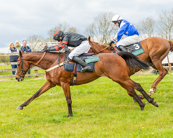 Race 2 - ROR and veteran Horse Conditions race (50 of 77)