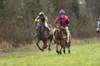 Pony Race 1 -  (14 of 20).jpg