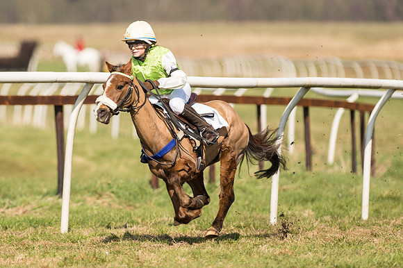 Pony Race 1 - 128 -  (11 of 24).jpg