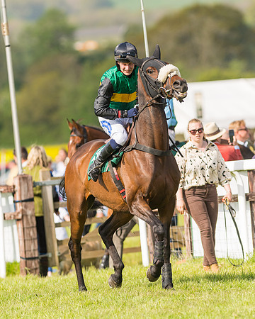 Race 5 - Restricted  (34 of 164)