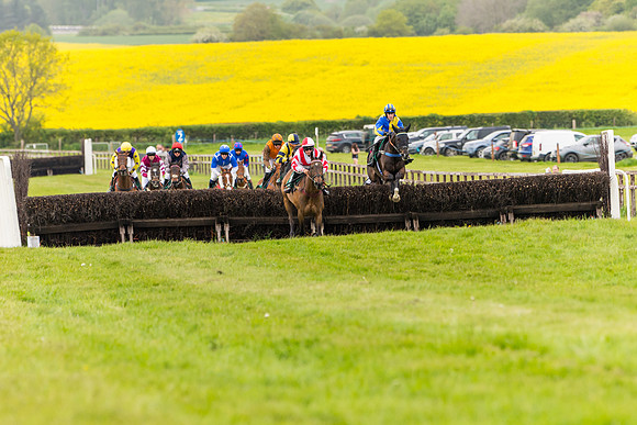 Race 7 - Veteran Horse conditions (101 of 244)