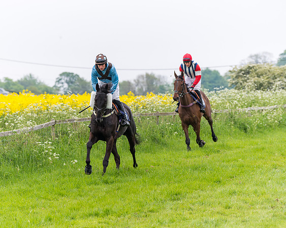 Race 6 - The Maiden [NWFAA] (15 of 143)