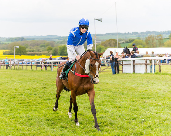 Race 7 - Veteran Horse conditions (57 of 244)