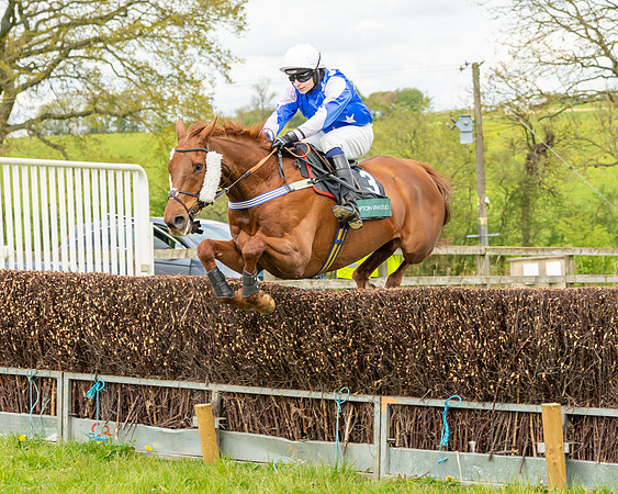 Race 2 - ROR and veteran Horse Conditions race (35 of 77)
