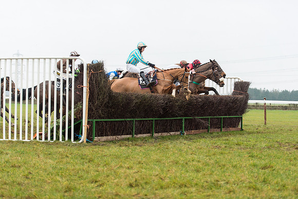 Race 6 - Open Maiden Race Div 1  (54 of 90).jpg