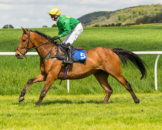 Race 2 - The Restricted Race  (51 of 122)