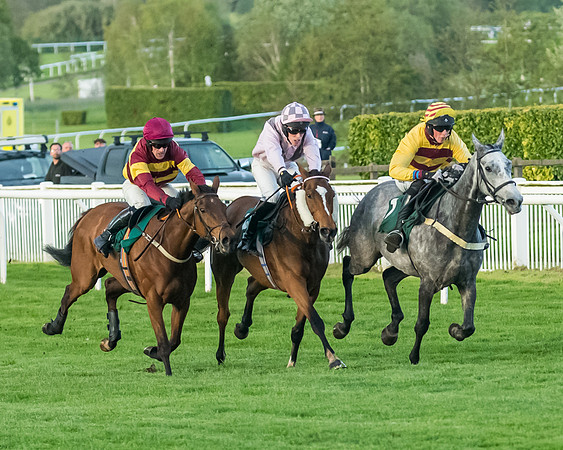 Race 5 - Mares Open  (125 of 329)