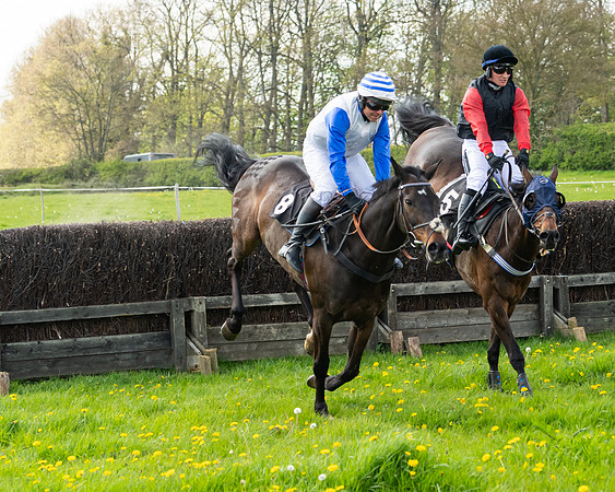 Race 2 - Veteran Horse  (70 of 82)