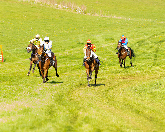 Race 5 - Novice and Veteran Riders (56 of 91)
