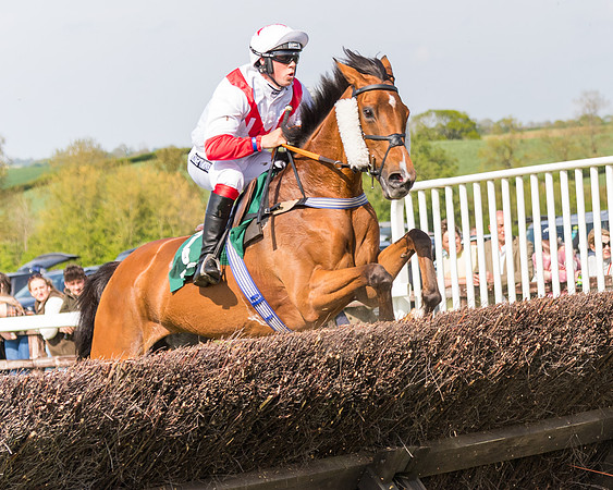 Race 4 - PPORA Novice Riders  (99 of 203)
