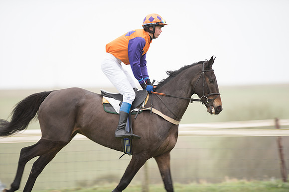 Race 1 - Novice Riders (29 of 86).jpg