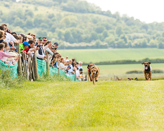 Draghounds Race (72 of 212)