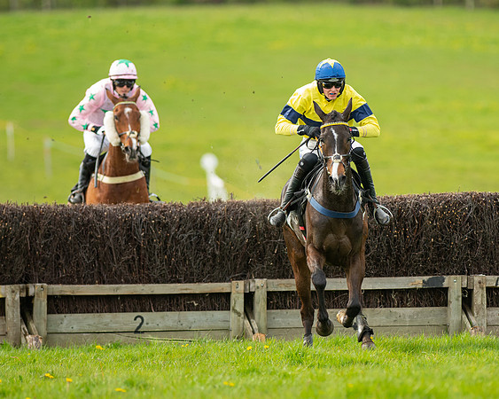 Race 5 - Open Maiden  (64 of 89)
