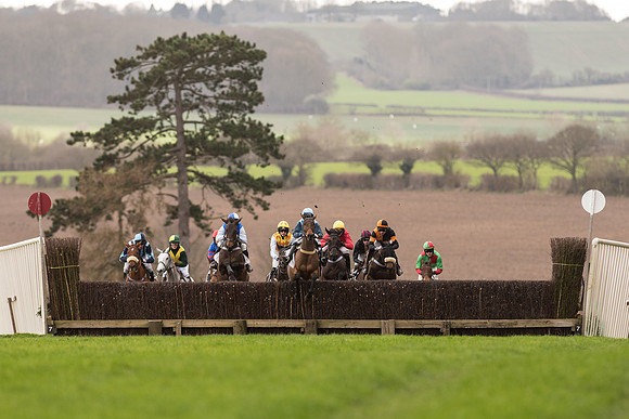 Race 2 - Young Horse Maiden (38 of 110).jpg