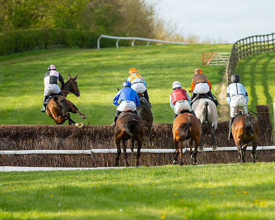 Race 7 - Maiden  (43 of 113)