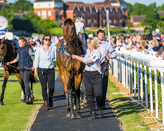 Race 4 - Foxhunters Championship (18 of 175)