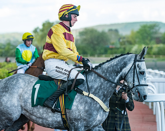 Race 5 - Mares Open  (63 of 329)