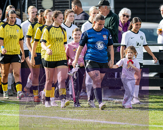 Royston Town 3 v 2 Chesham United (58 of 496)