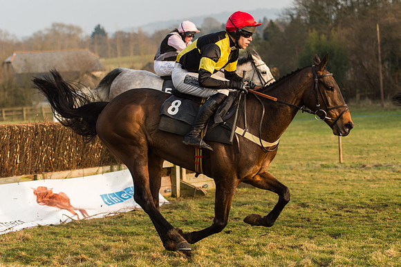 Race 6 - Open Maiden (59 of 122).jpg