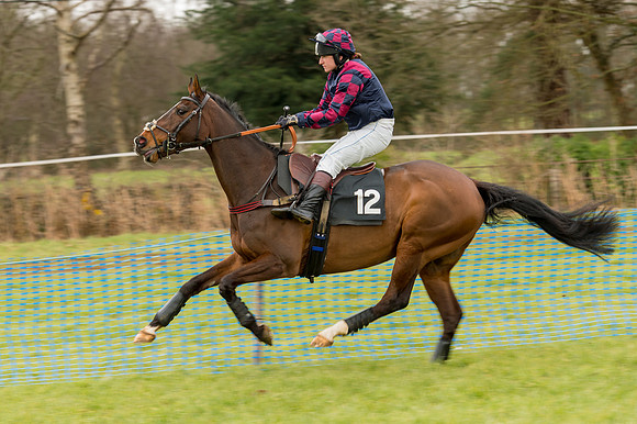 Race 2 - Novice and Veterans   (6 of 101).jpg
