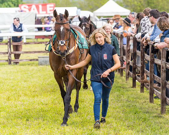 Race 2 - Owner-Trainer Conditions  (2 of 208)
