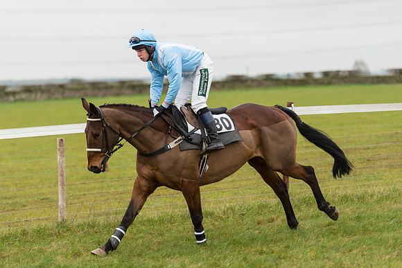 Race 3 - Novice Riders Race (4 of 150).jpg