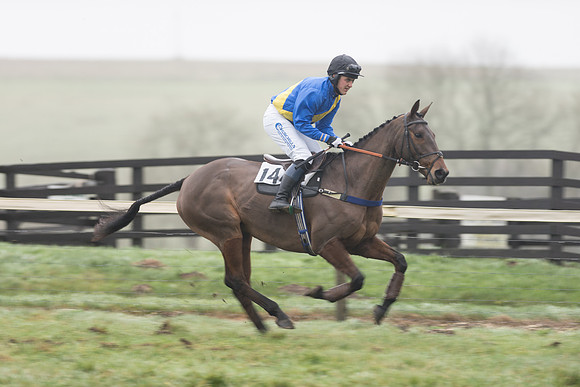 Race 5 - The Intermediate (24 of 59).jpg