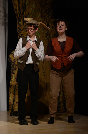 Wind in the Willows Dress 18