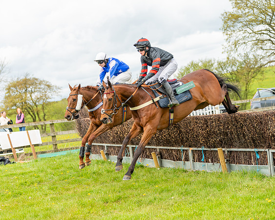 Race 2 - ROR and veteran Horse Conditions race (18 of 77)