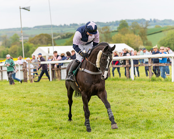 Race 7 - Veteran Horse conditions (94 of 244)