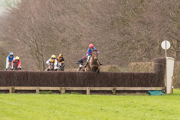 Race 2 - Young Horse Maiden (60 of 110).jpg