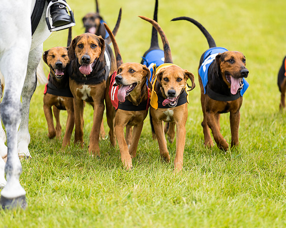 Draghounds Race (46 of 212)