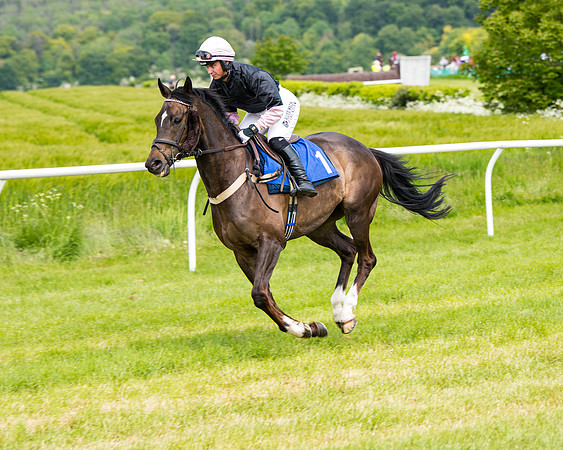 Race 1 - The Little Red owner Trainer conditions (106 of 345)