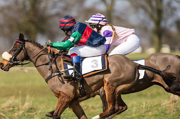 Pony Race 1 - 128 -  (23 of 24).jpg