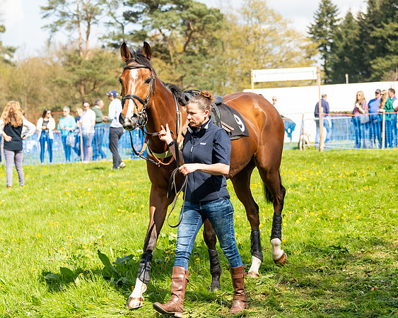 Race 3 - Mixed Open  (14 of 91)