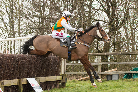 Race 2 - PPORA Novice riders  (165 of 186).jpg