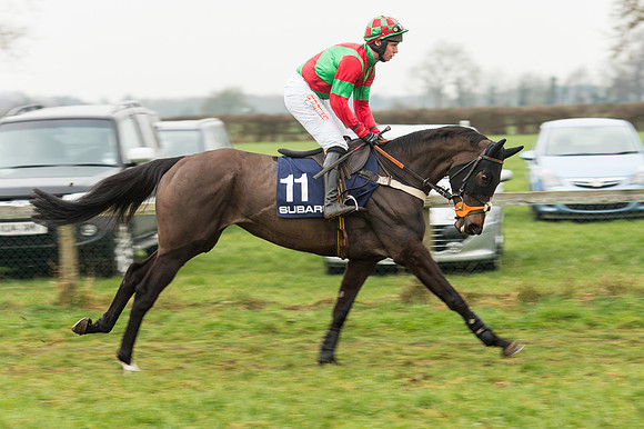 Race 5 - The Restricted Race (39 of 86).jpg