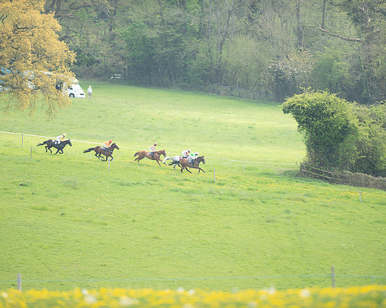 Ponies and Side saddle (34 of 69)