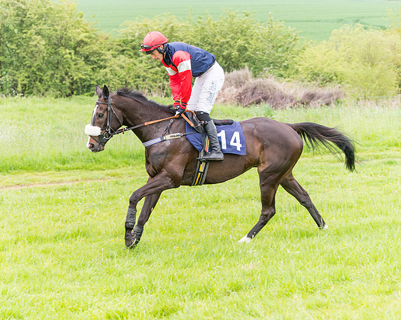 Race 6 - Maiden (21 of 129)