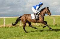 Race 2 - Young Horse Maiden (8 of 110).jpg