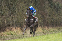 Pony Race 1 -  (9 of 20).jpg