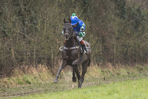 Pony Race 1 -  (9 of 20).jpg