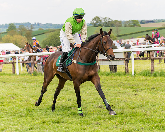 Race 6 = Maiden (29 of 187)